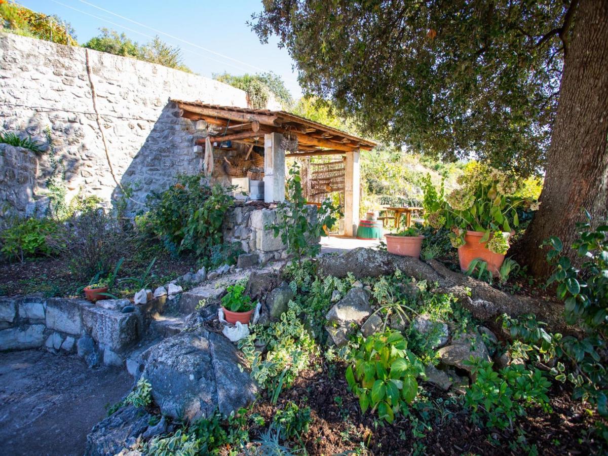 Country House Bakicevo Cilipi Room photo